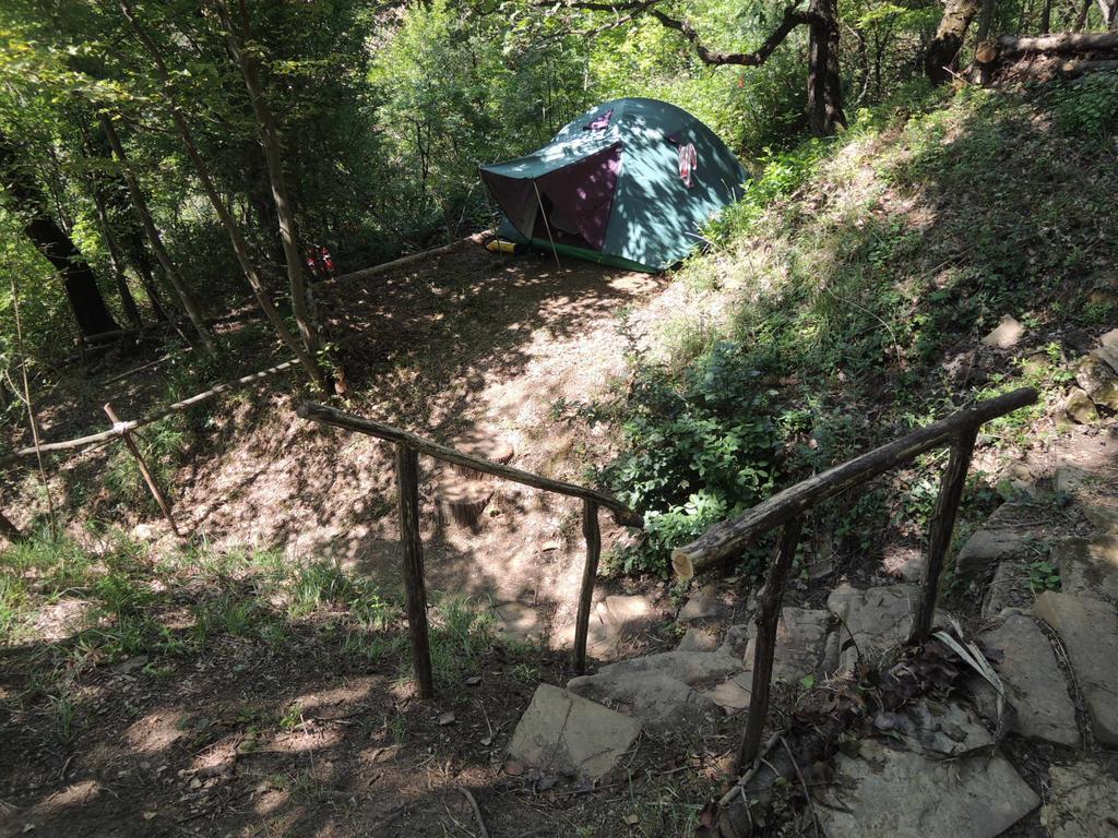 Adrenaline Check Kaki Event Place Portorož Quarto foto